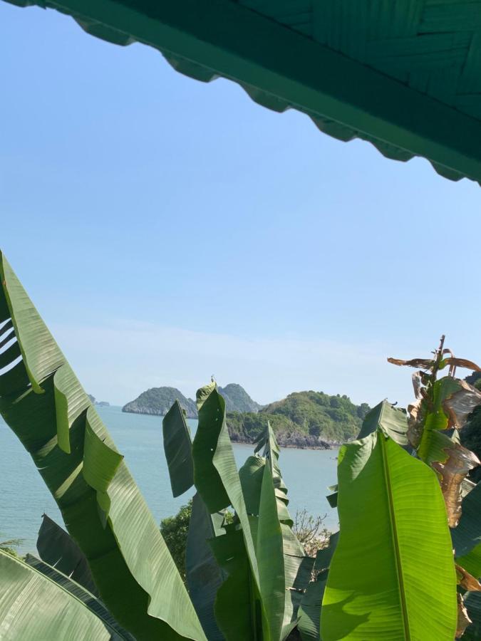 Ocean Beach Resort Cat Ba Island Exteriör bild